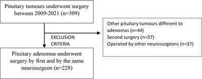 Radiological Knosp, Revised-Knosp, and Hardy–Wilson Classifications for the Prediction of Surgical Outcomes in the Endoscopic Endonasal Surgery of Pituitary Adenomas: Study of 228 Cases